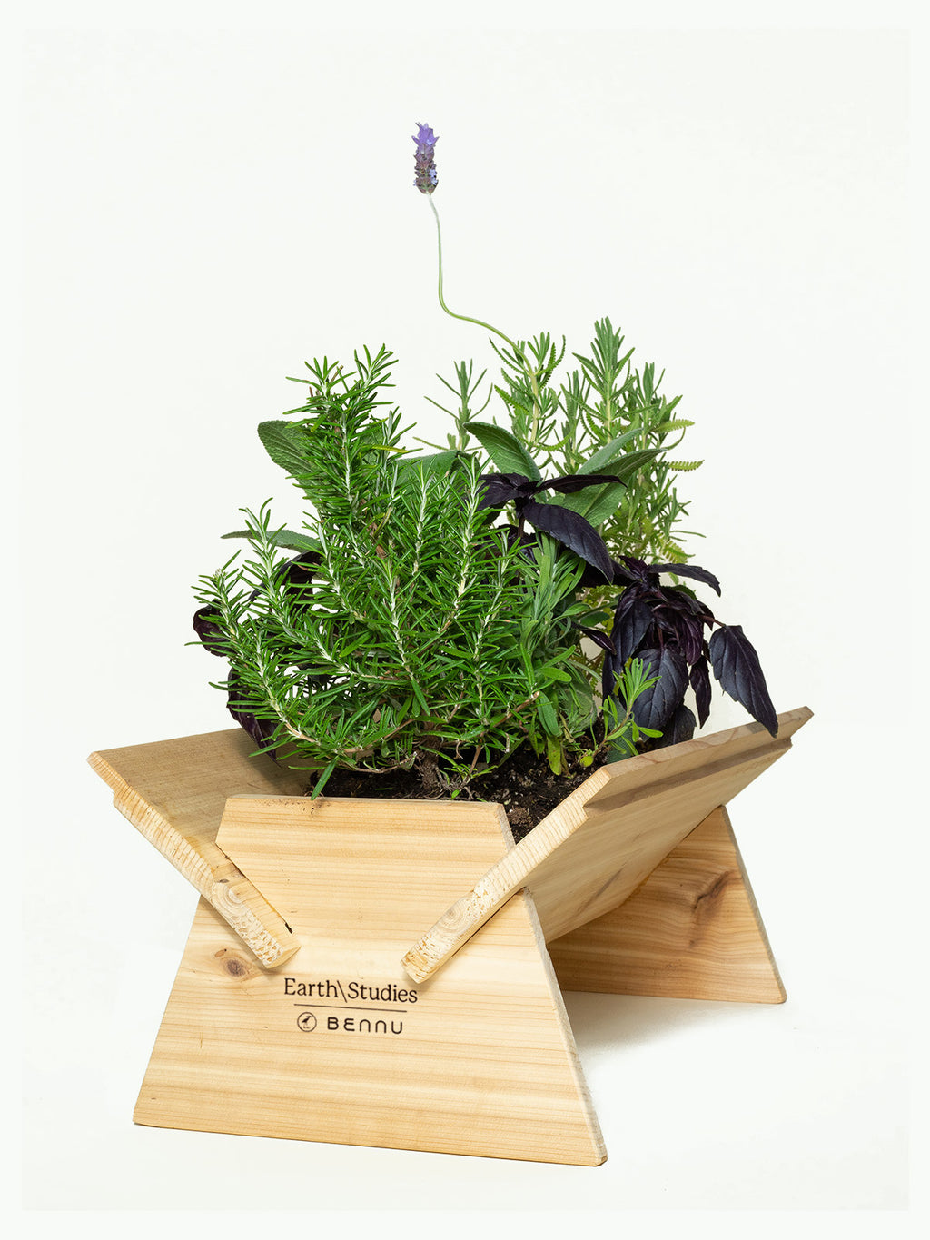 earth pots for plants EQ-112 Grow Planter – EarthStudies